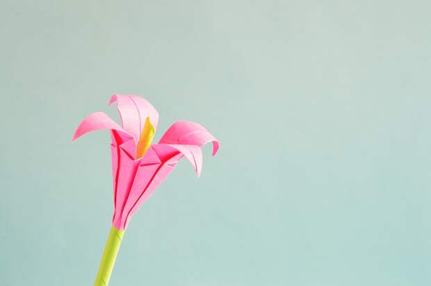 Фото: pixabay.com