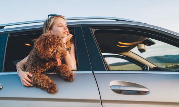 10 карманных настольных игр в поездку, с которыми ваш ребенок точно не заскучает