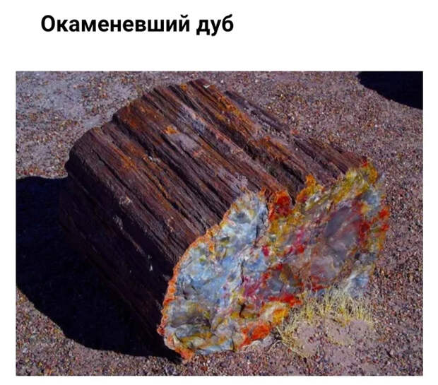 Обычные вещи в необычном разрезе Вещи, Предметы, Интересное, Разрез, Было-Стало, Факты, Длиннопост