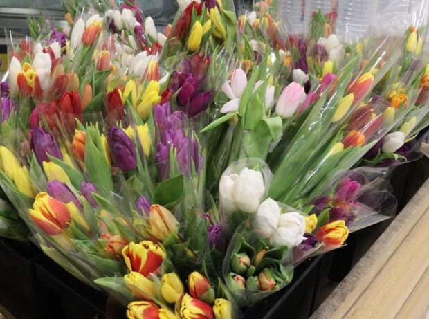 В Приморье увеличился импорт цветов из КНР