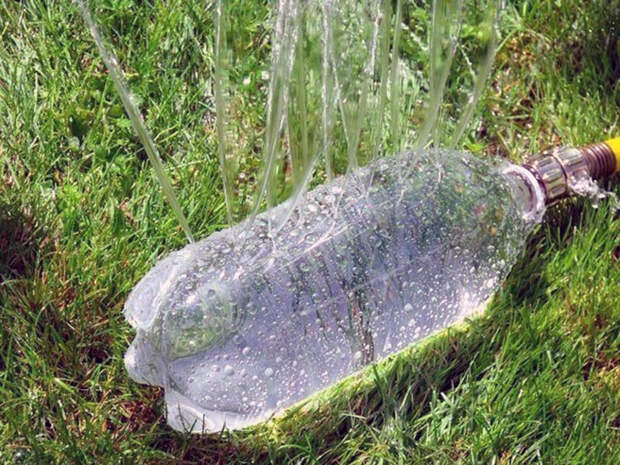 Необычное применение пластиковых бутылок на даче
