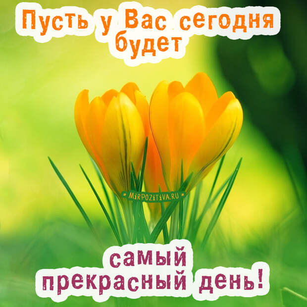 Хорошего всем настроения!