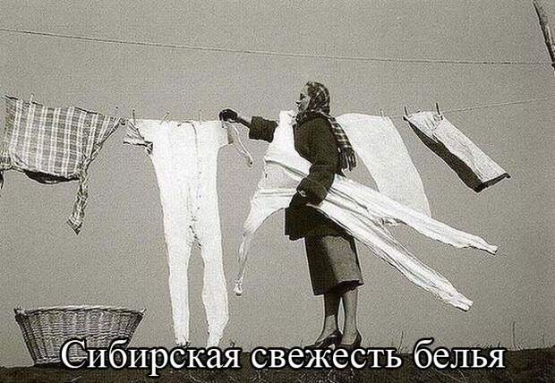 Смешные картинки картинки, подборка, смешные, фото