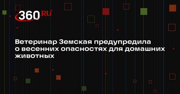 Ветеринар Земская предупредила о весенних опасностях для домашних животных