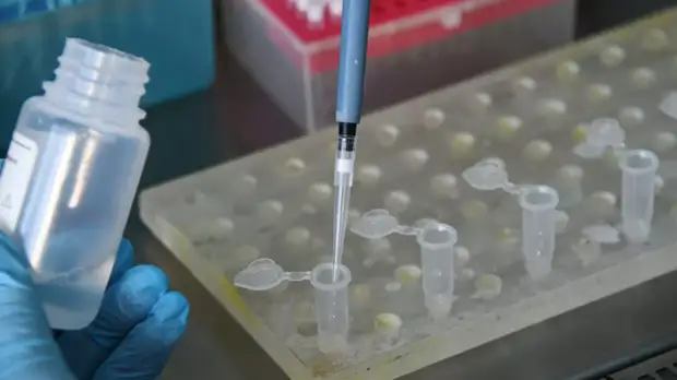 Коронавирус выявлен во всех регионах России