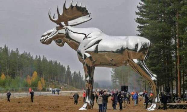 Свежие и веселые картинки из нашей жизни (12 фото)