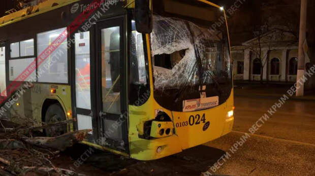 В районе улицы Войкова в Керчи на троллейбус упало дерево