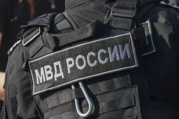 В России за прошлый год сократилось число краж, грабежей и убийств