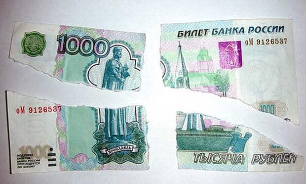 Полезно не только севастопольцам: восемь правил, которые нужно знать при посещении магазинов (фото)
