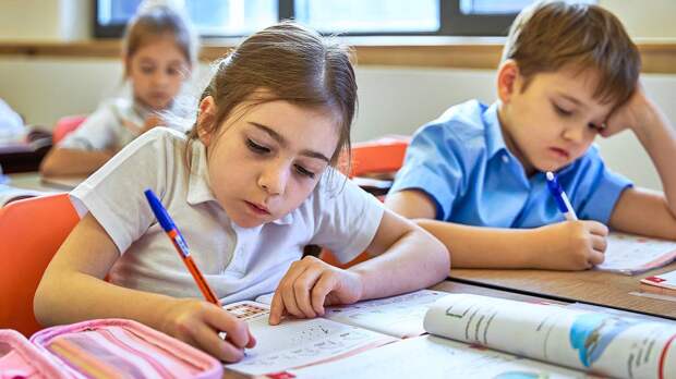 Кнут в виде «двойки»: как может работать система оценок за поведение в школах