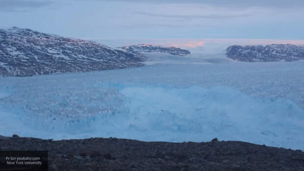 Песец добрался по льду из Норвегии в Канаду за 76 дней 