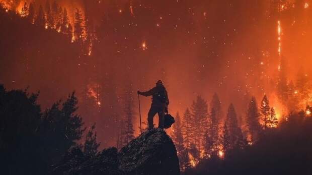 Разрушительные лесные пожары в Калифорнии нанесли огромный ущерб и привели к десяткам человеческих жертв