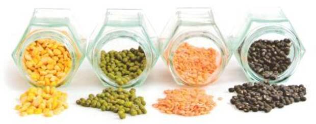 prorostki (448x177, 28Kb)