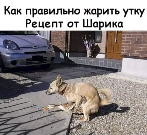 Это вы считайте, что с вами живет кот. Он считает, что это вы живете с ним Это вы считайте, что с вами живет кот. Он считает, что это вы живете с ним каплю, Выпила, французская, пришел, английская, обещал, разбираются, зайти, немецкая, уснула, домой, которые, Карла, жёлтый, думаю, лимоном, минут, стоит, нюхать, коричневыйЗанял