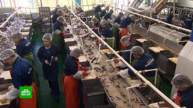 Как работают исправительные центры, где осужденные получают новые профессии