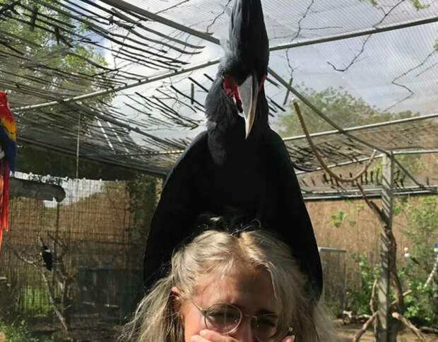 15 девушек, которые мечтали бы начать свой день заново