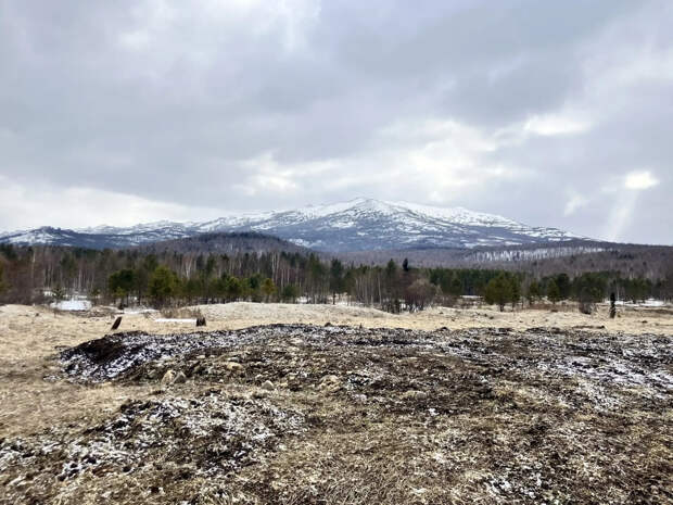 Опубликованы кадры с места новых поисков пропавшей семьи Усольцевых