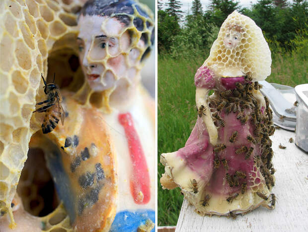 honeycomb-bee-art-sculpture-aganetha-dyck-16