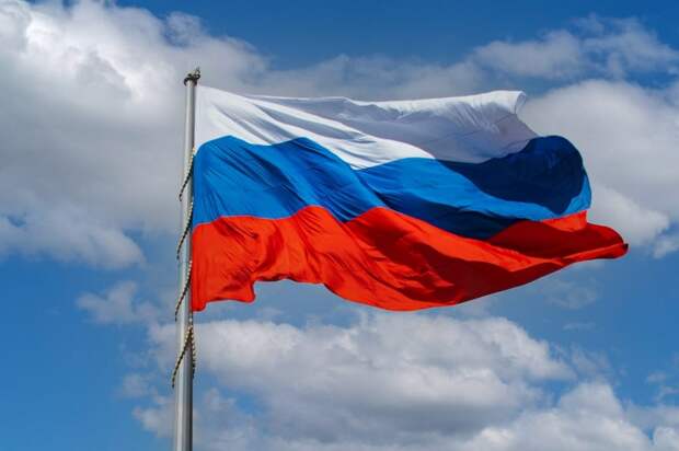 Западные наблюдатели отмечают высокий уровень организации на референдумах о вхождении в РФ новых областей