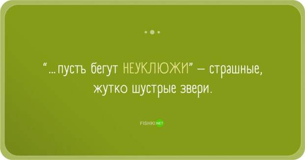 Забавные заблуждения прикол, юмор
