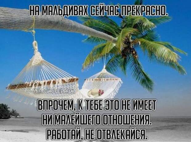 Смешные и прикольные фотомемы (23 шт)