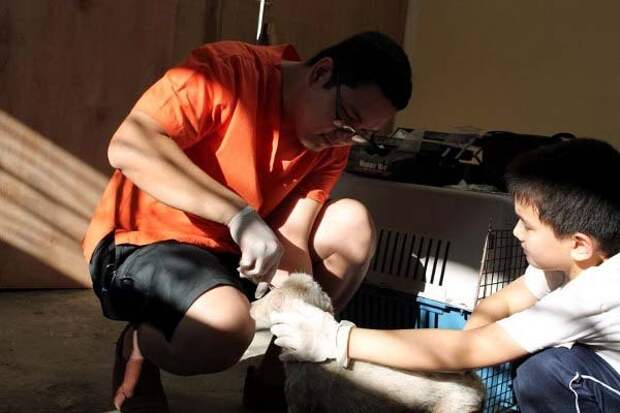 Папа с сыном спасли жизни 3 собак, а после построили приют для животных
