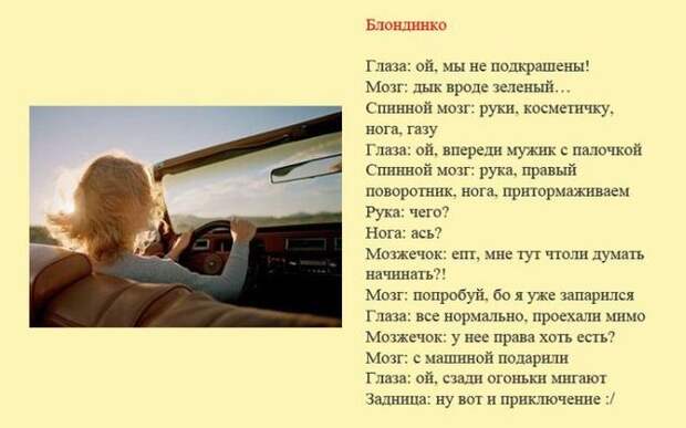 Смешная классификация водителей (8 фото) Смешная классификация водителей (8 фото)