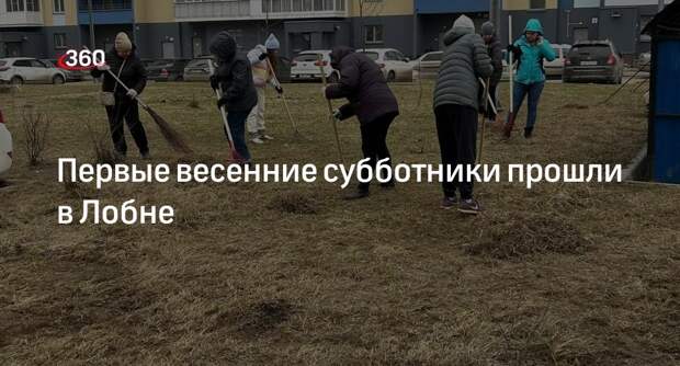 Первые весенние субботники прошли в Лобне