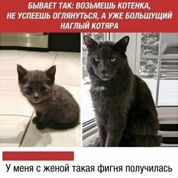 www.vsyako.net