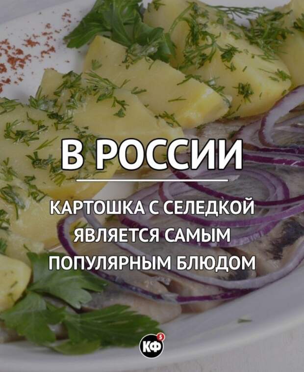 Краткие факты