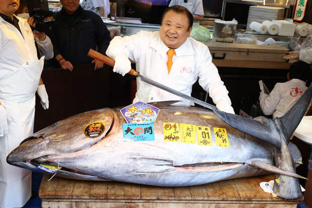 NHK: на аукционе в Японии продали голубого тунца за $3,2 млн