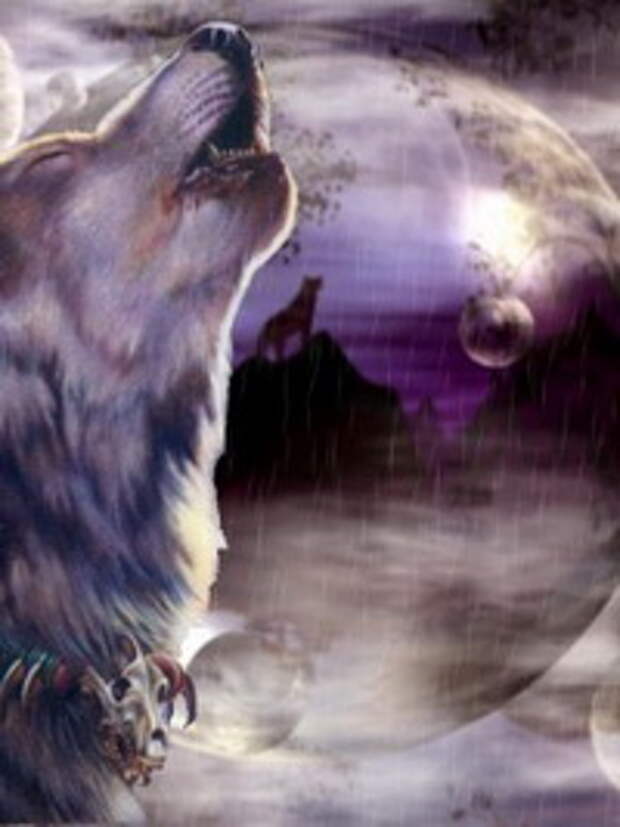 Добрая была охота. Картинки Волков одиночек. Волк молится. Сон волки воют. Лёгкие тату волка воющего на луну.
