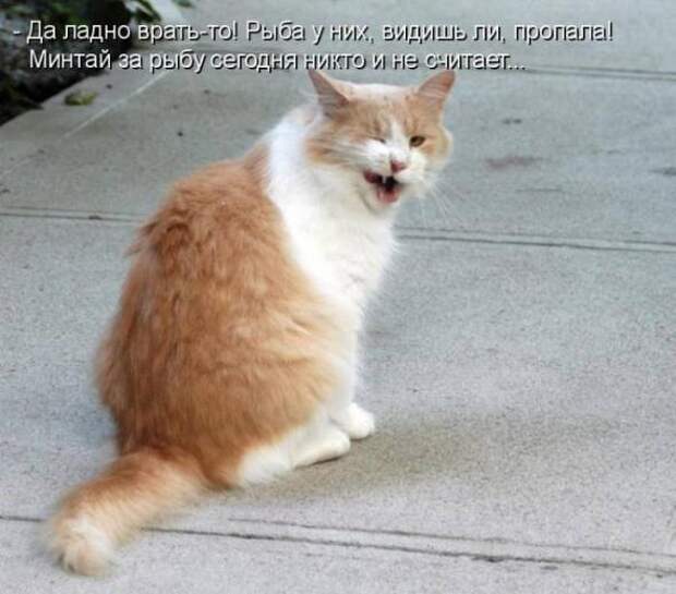 Продолжаем подготовку к Новому Году.