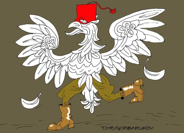 Варшава предлагает Турции проект Междуморья