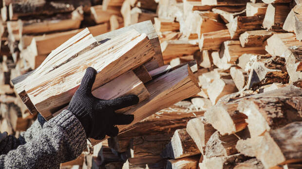 ERR: в Эстонии на фоне длительных морозов возник дефицит дров