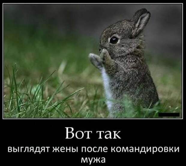 Прикольные демотиваторы с надписями. Подборка chert-poberi-dem-chert-poberi-dem-28210329102020-7 картинка chert-poberi-dem-28210329102020-7