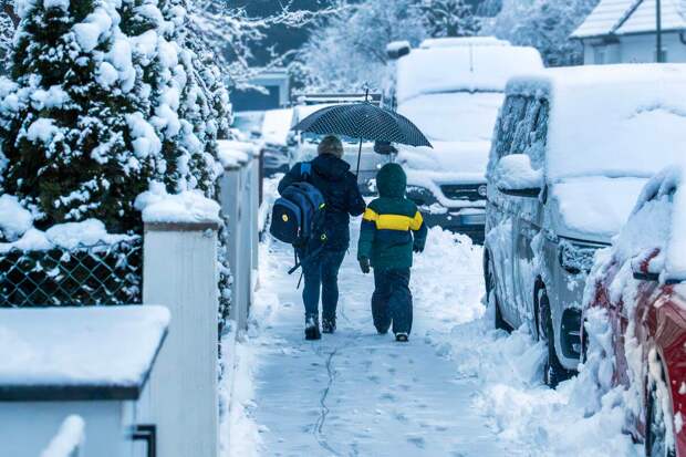 Bild: рождение детей в ФРГ для многих немцев стало непозволительной роскошью