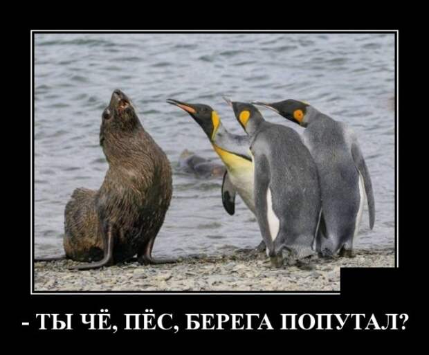 www.vsyako.net