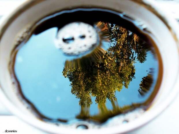 Отражение в кружке кофе. Фото 