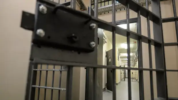 Суд в Петербурге арестовал студента, обвиняемого в убийстве матери