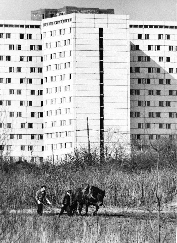 Москва, Юго-запад,1981 г.