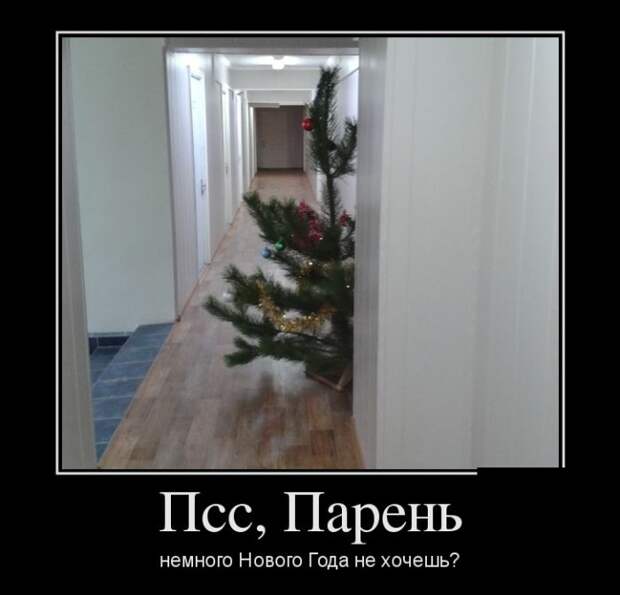 Демотиваторы (30 фото) Демотиваторы (30 фото)