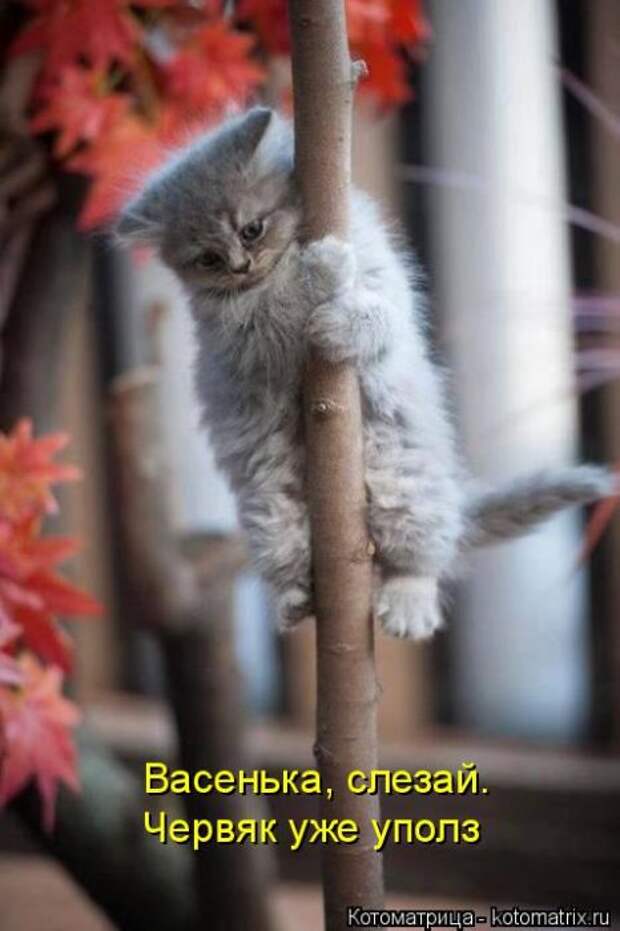 Васенька, слезай. Червяк уже уполз.