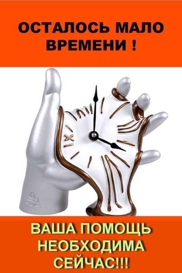 Как никогда просим вас о помощи!!! Эти малыши пропадают в пустом садоводстве...А из леса приходят лисы...