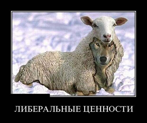 Сборник демотивационных приколов Сборник демотивационных приколов