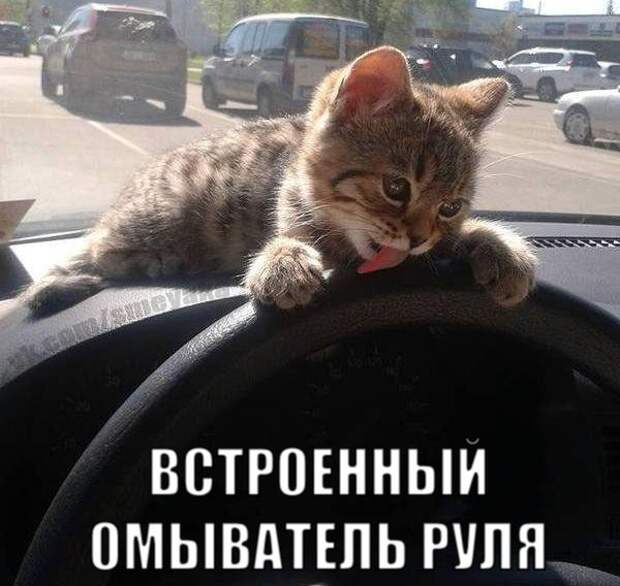Свежая подборка автоприколов авто, автоприколы, приколы