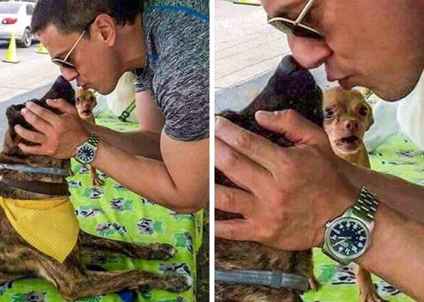Главное - задний план: фотографии, которые стали популярными благодаря своему фону