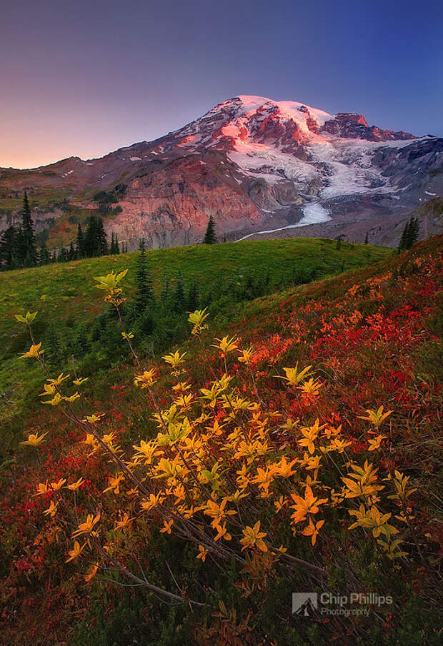 Восход солнца в национальном парке Mount Rainier. (фото Chip Phillips)