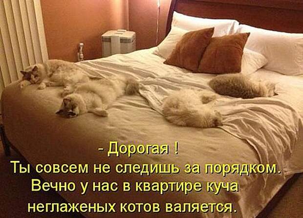 071ef2a4be8702896001c8429e2_prev