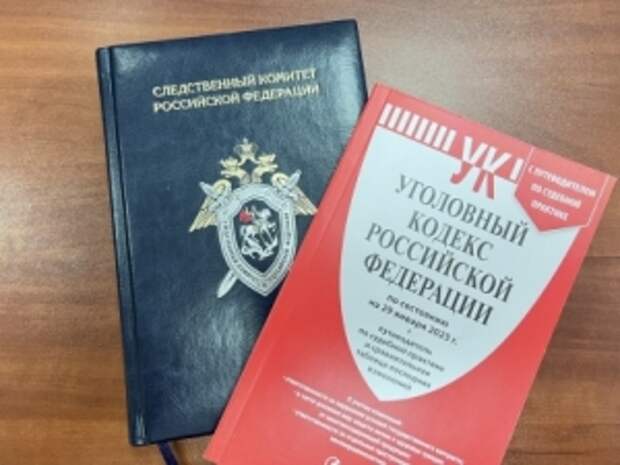 Главе ведомства доложат о результатах проверки по факту возможных противоправных действий в отношении девушки в Республике Калмыкия